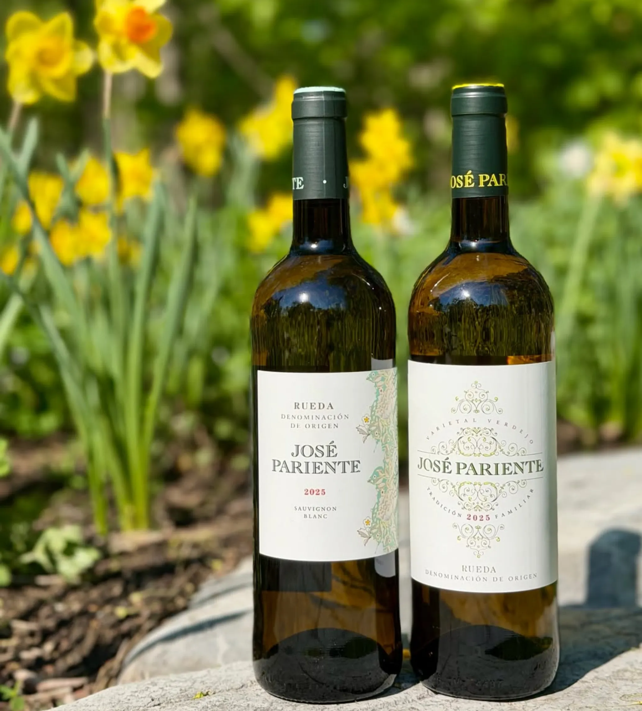 2026 Australian Chardonnay vintage report