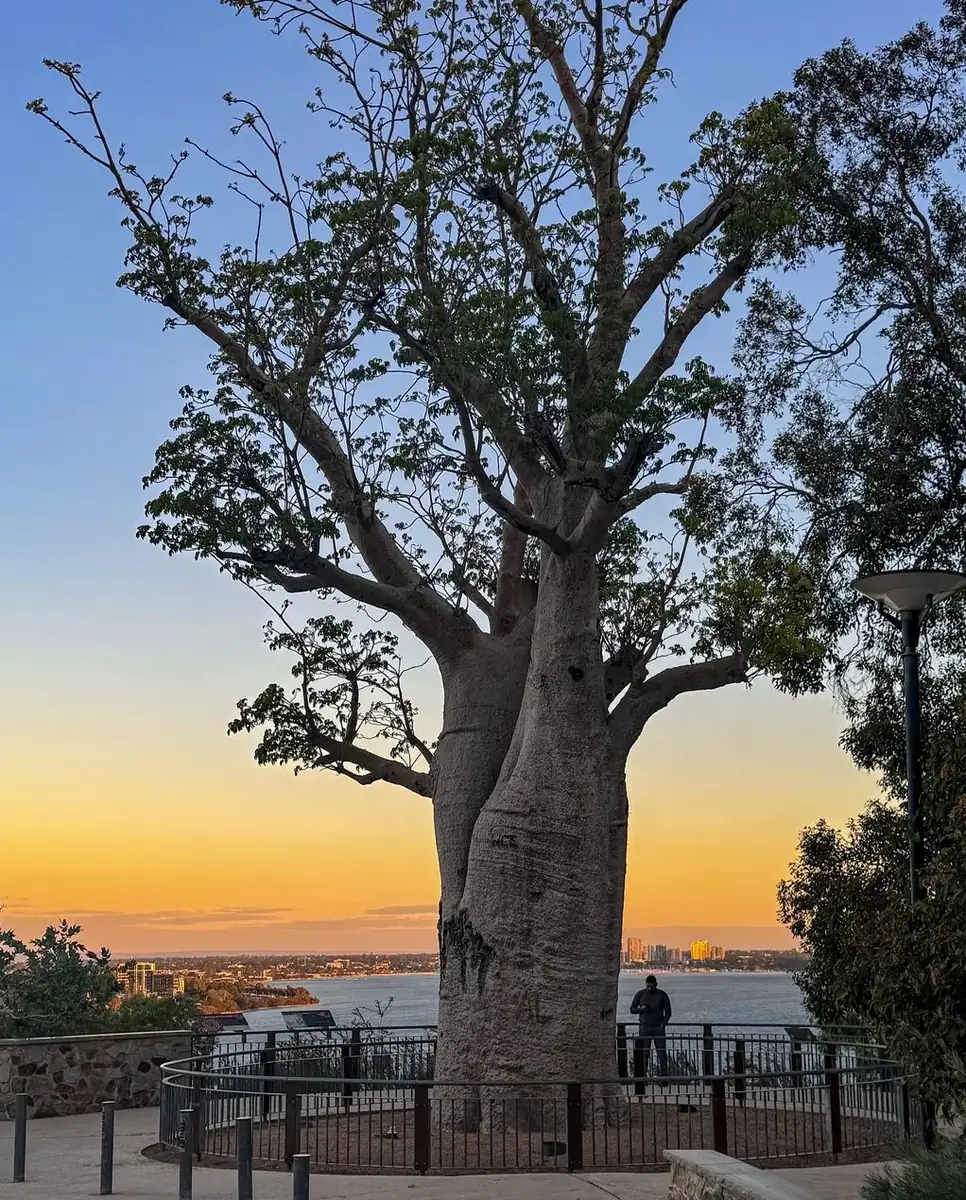 23 Best Things To Do in Perth