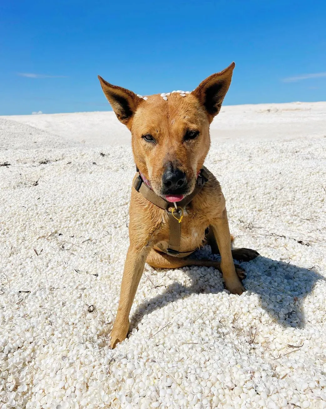 A Personal Story From The Road