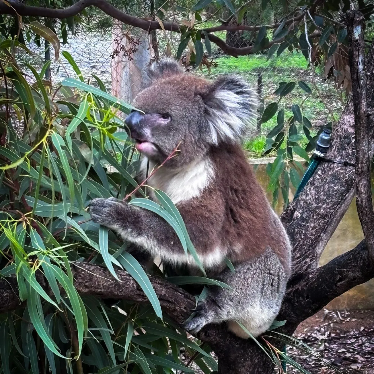 Best Ways to Reach the Park