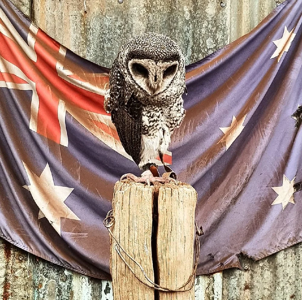 Caversham Wildlife Park