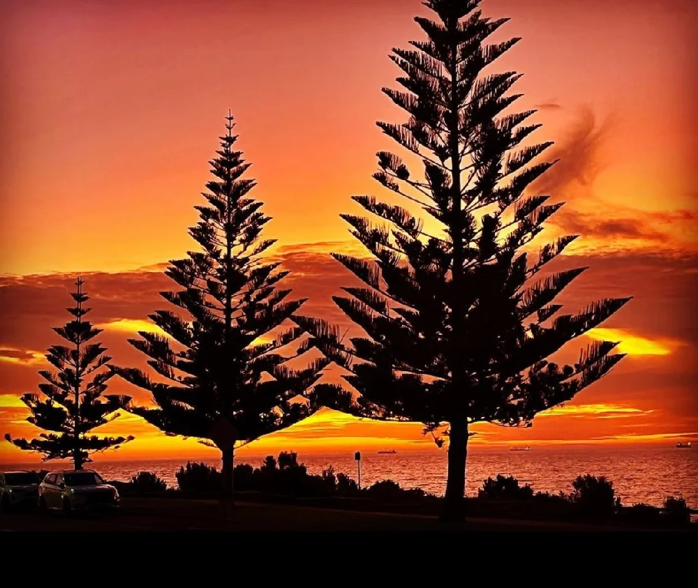 unique things to do in perth