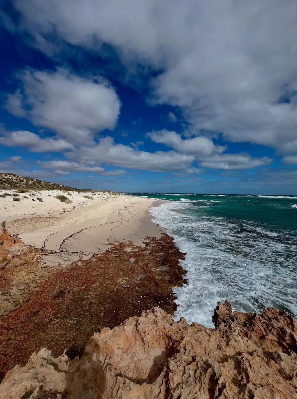 Driving In, The Reality Check