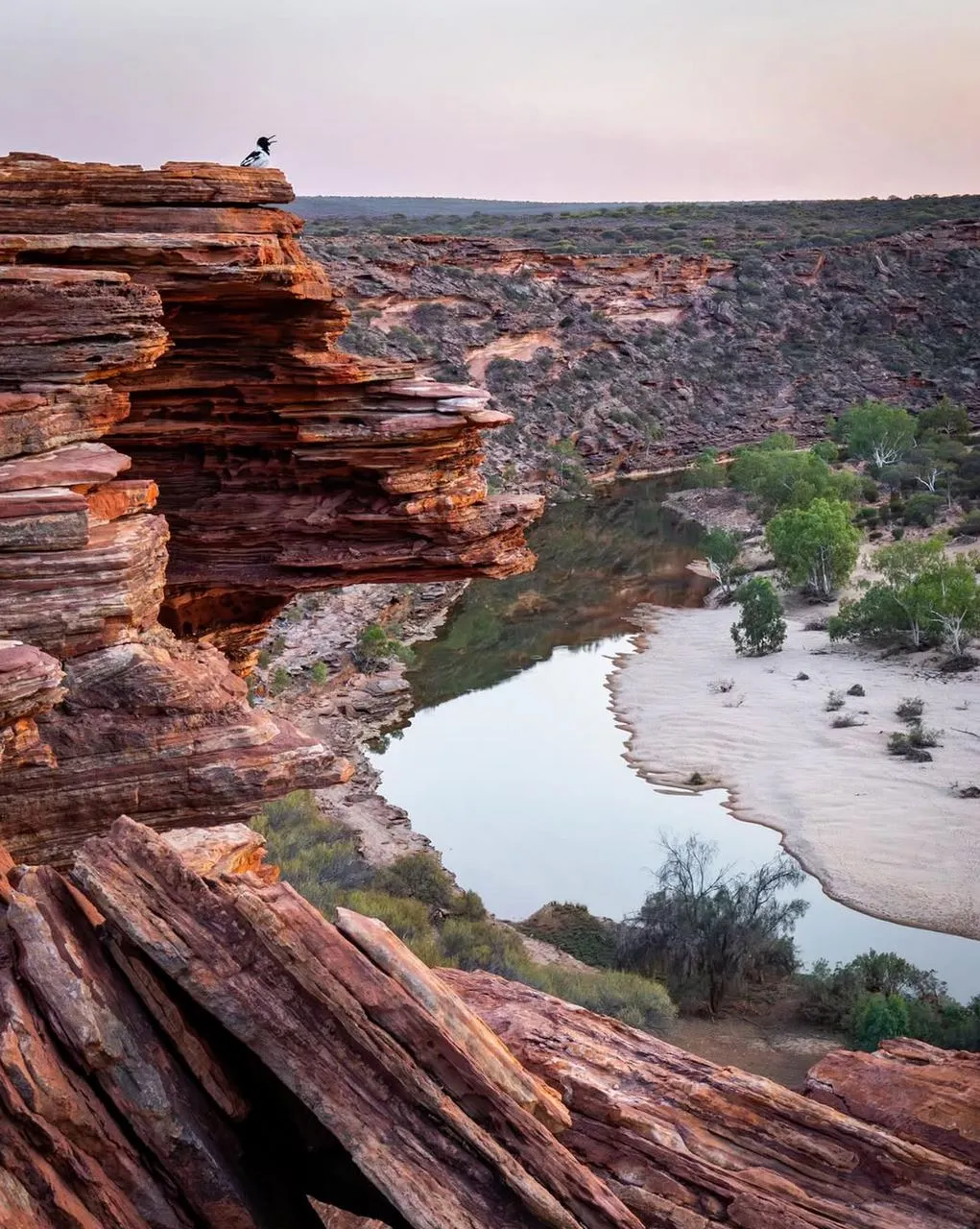 European Discovery, The First Recorded Sightings