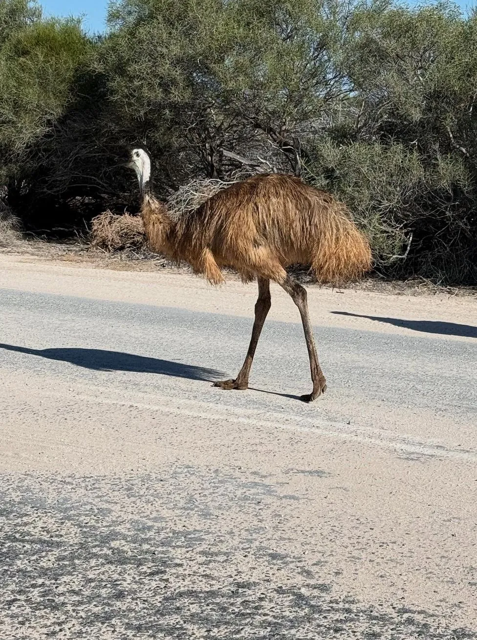 Finding Your Way, Location And Access