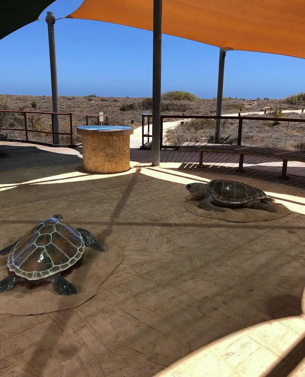 Jurabi Turtle Centre