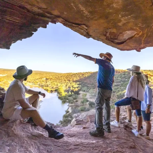 Look through the Nature's Window