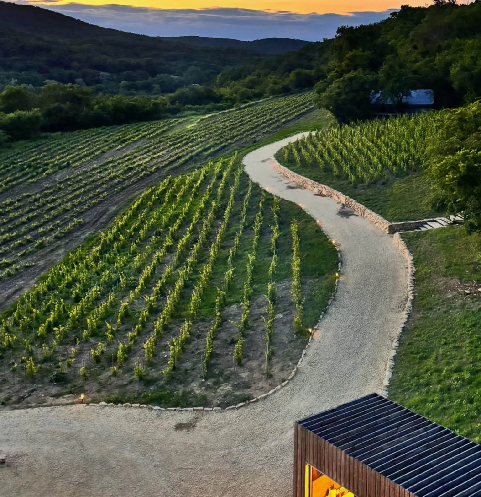 Mornington Peninsula Chardonnay 2026