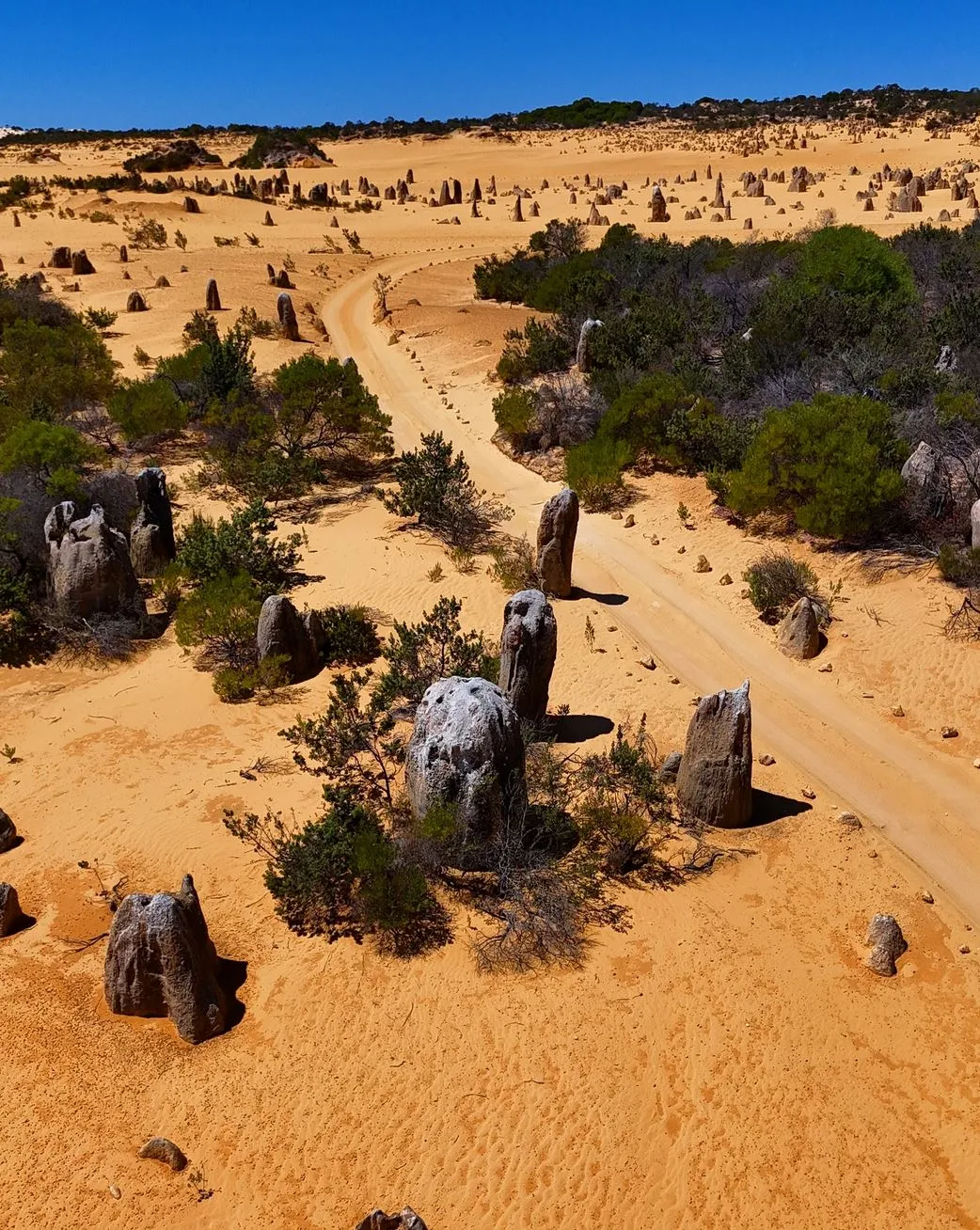Nambung National Park