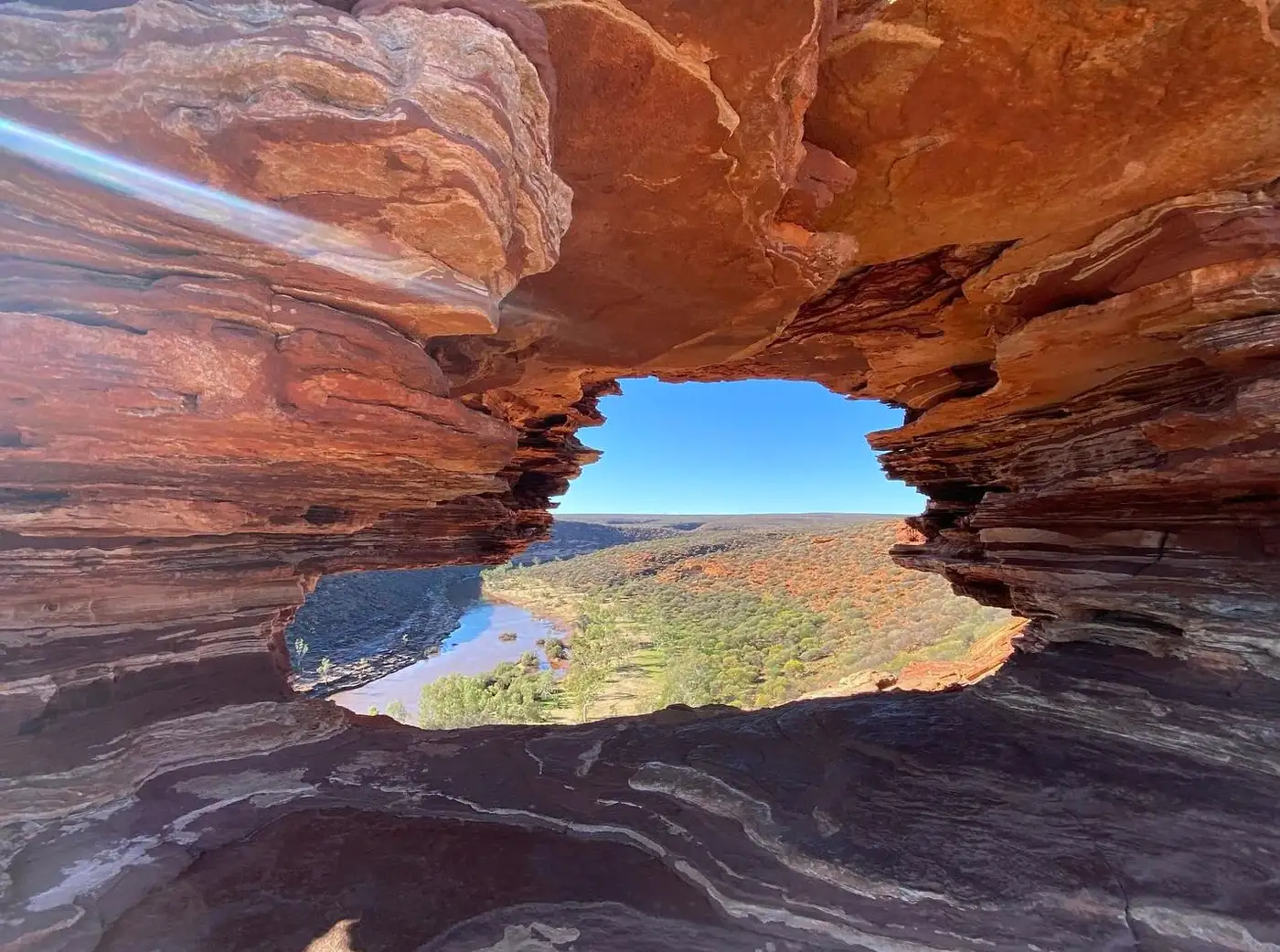Nature's Window
