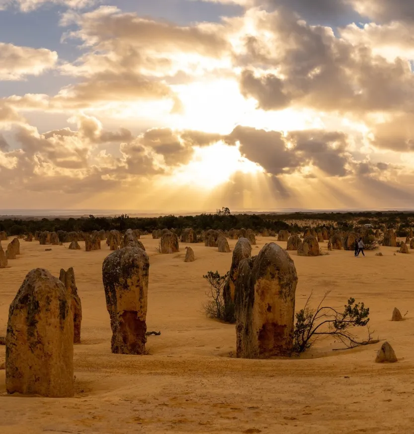 Pinnacles Attractions