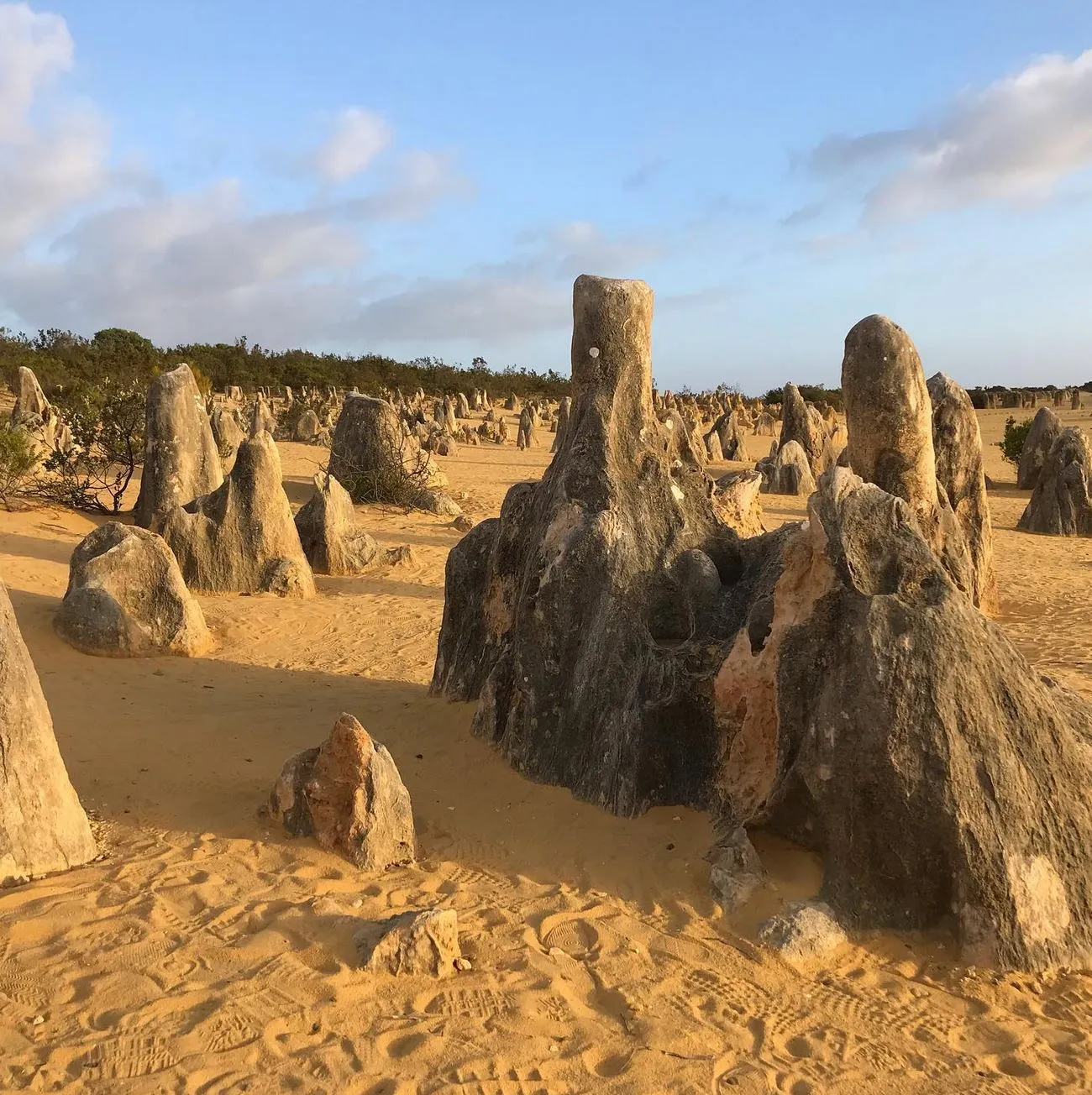 Pinnacles Desert Discovery Centre