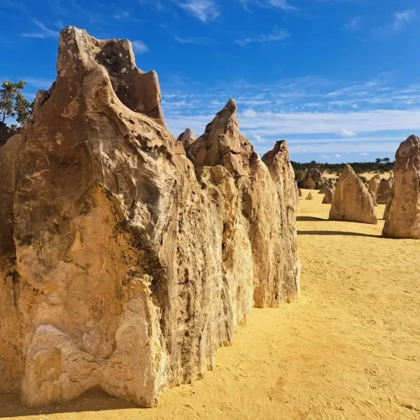 Pinnacles Desert WA