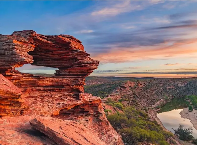 Nature's Window
