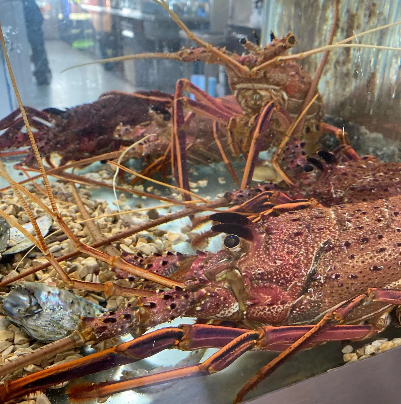 Practical Tips For Visiting