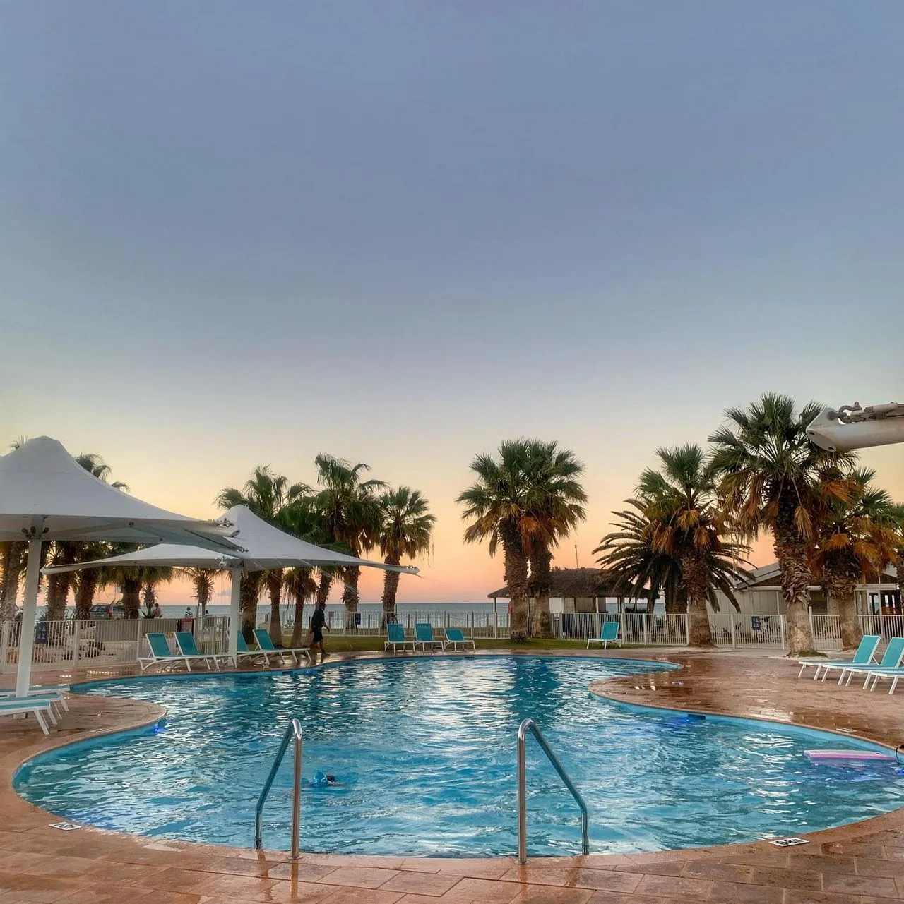 RAC Monkey Mia Dolphin Resort