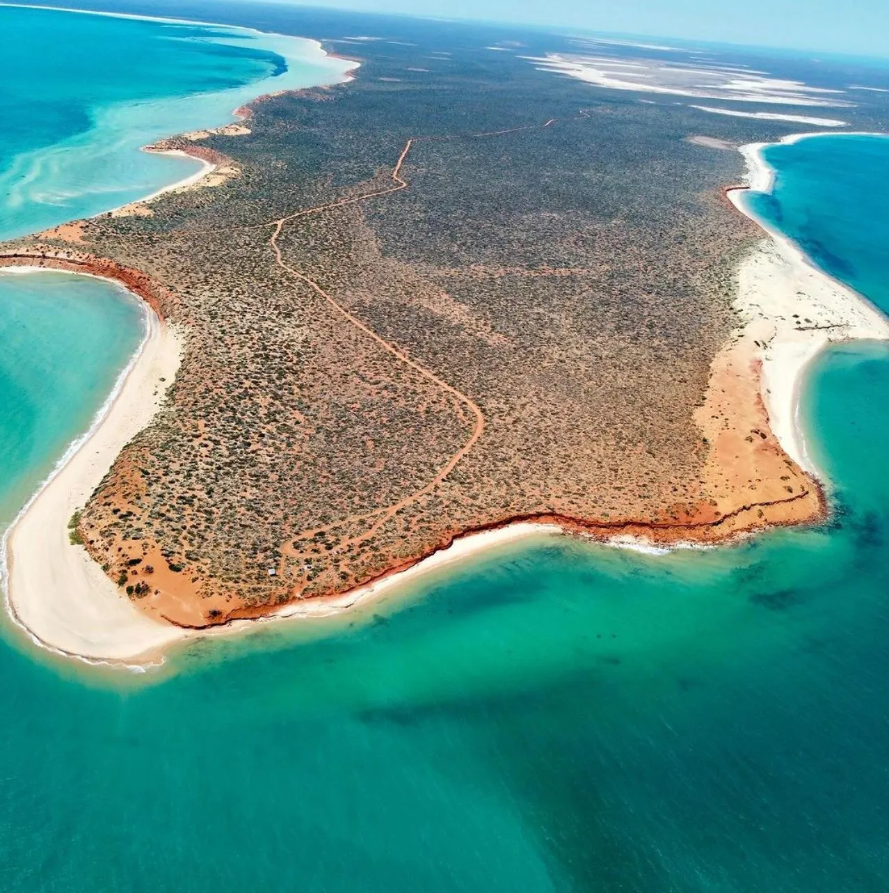 Road Trip to the White-Shelled Coast