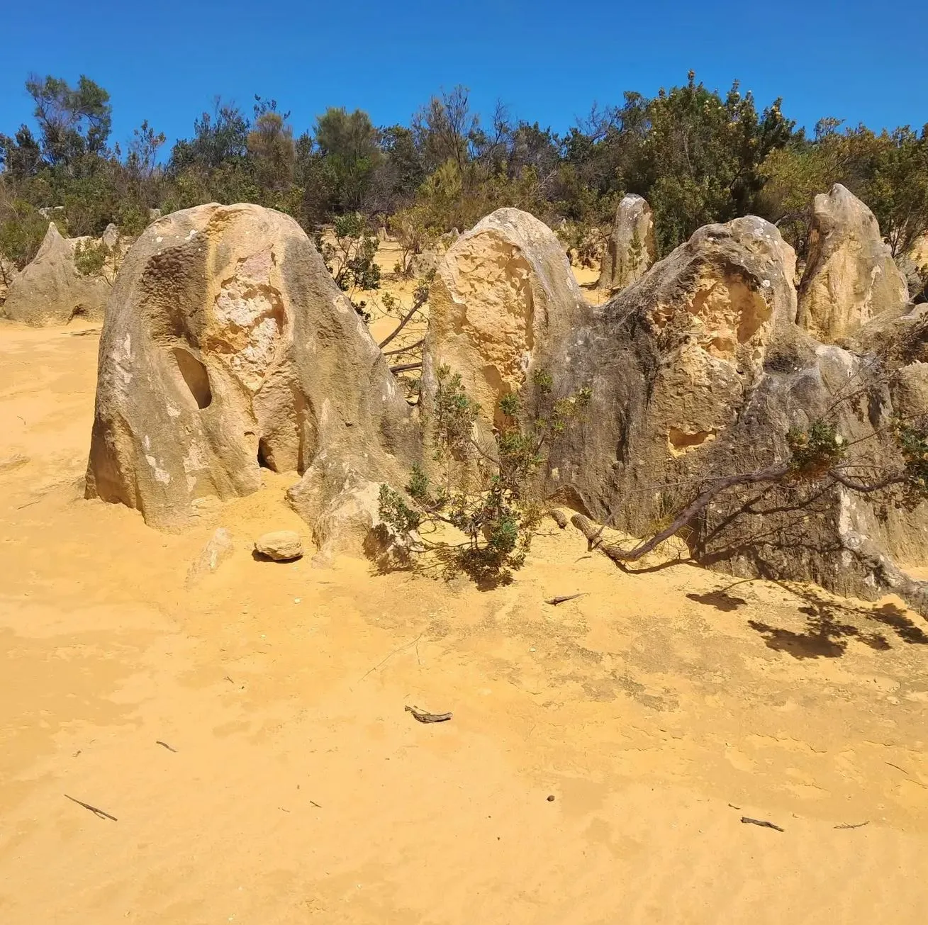 Safety and common-sense tips