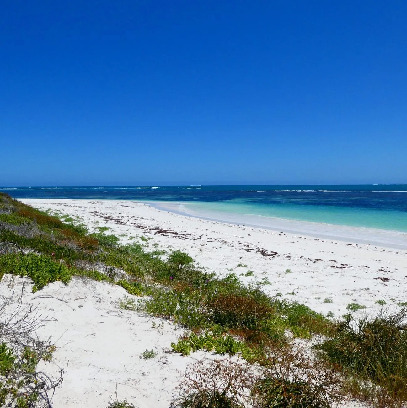 Seasonal Conditions, Best Time to Visit