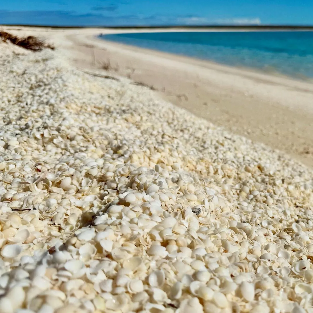 The Story Behind the Beach’s Unique Name