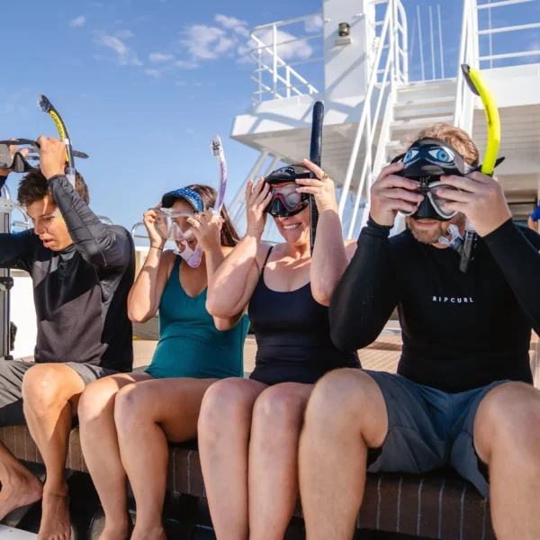 The best time to visit