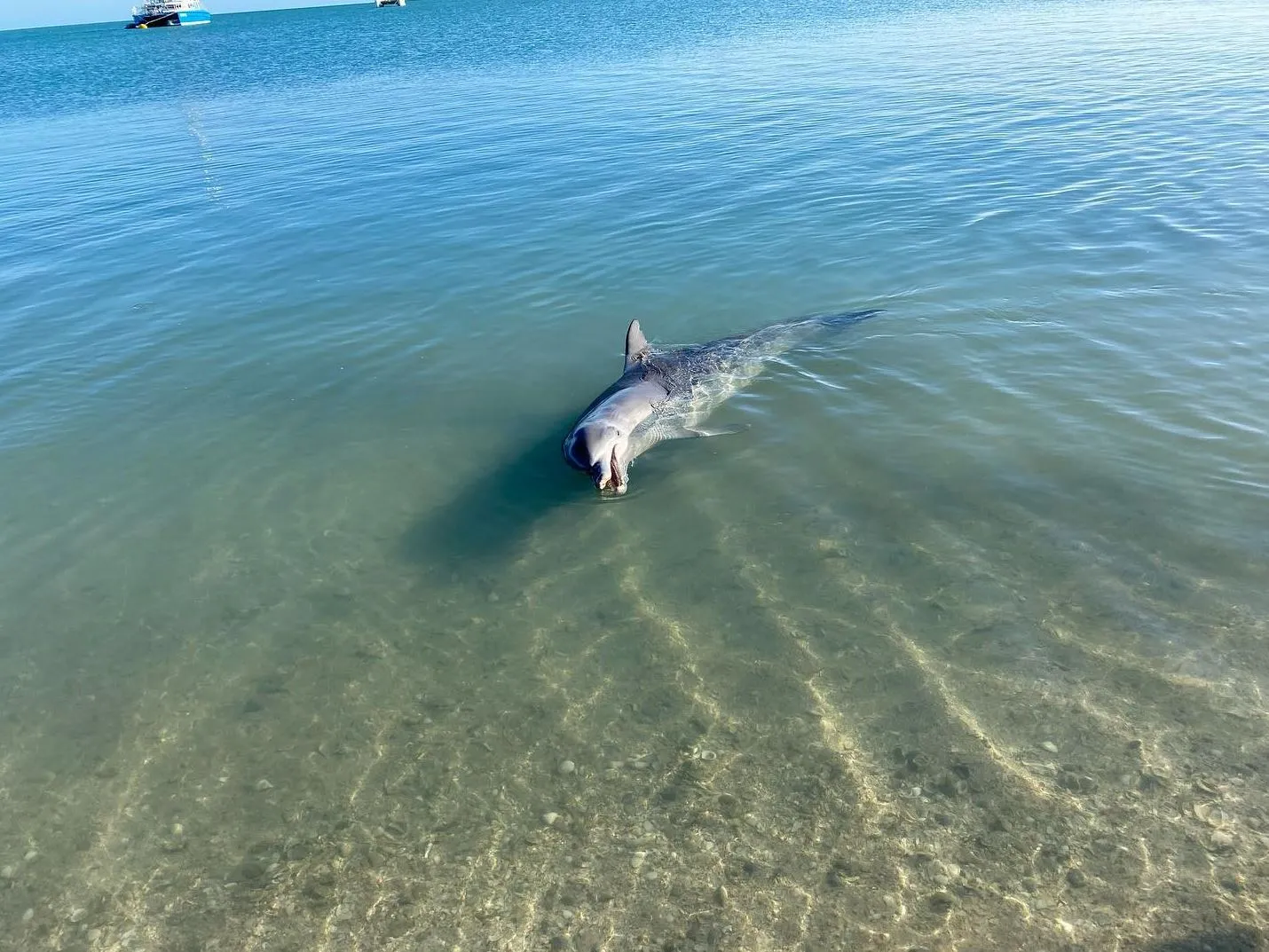 Traveller tips and local hacks