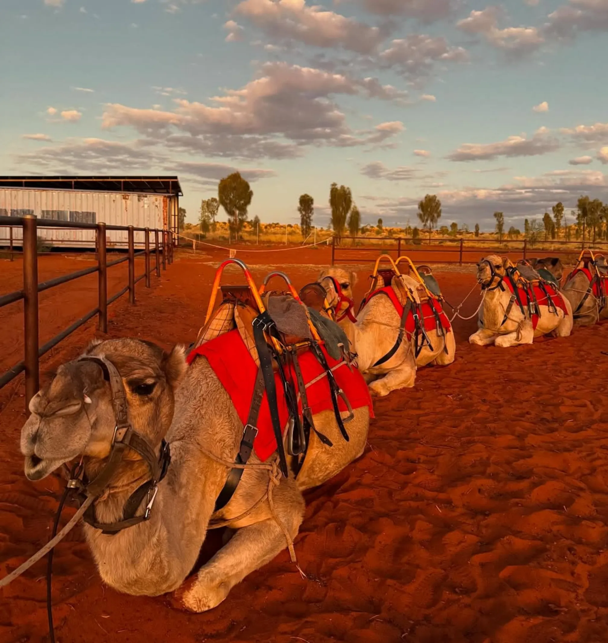 Uluru Camel Cup 2026