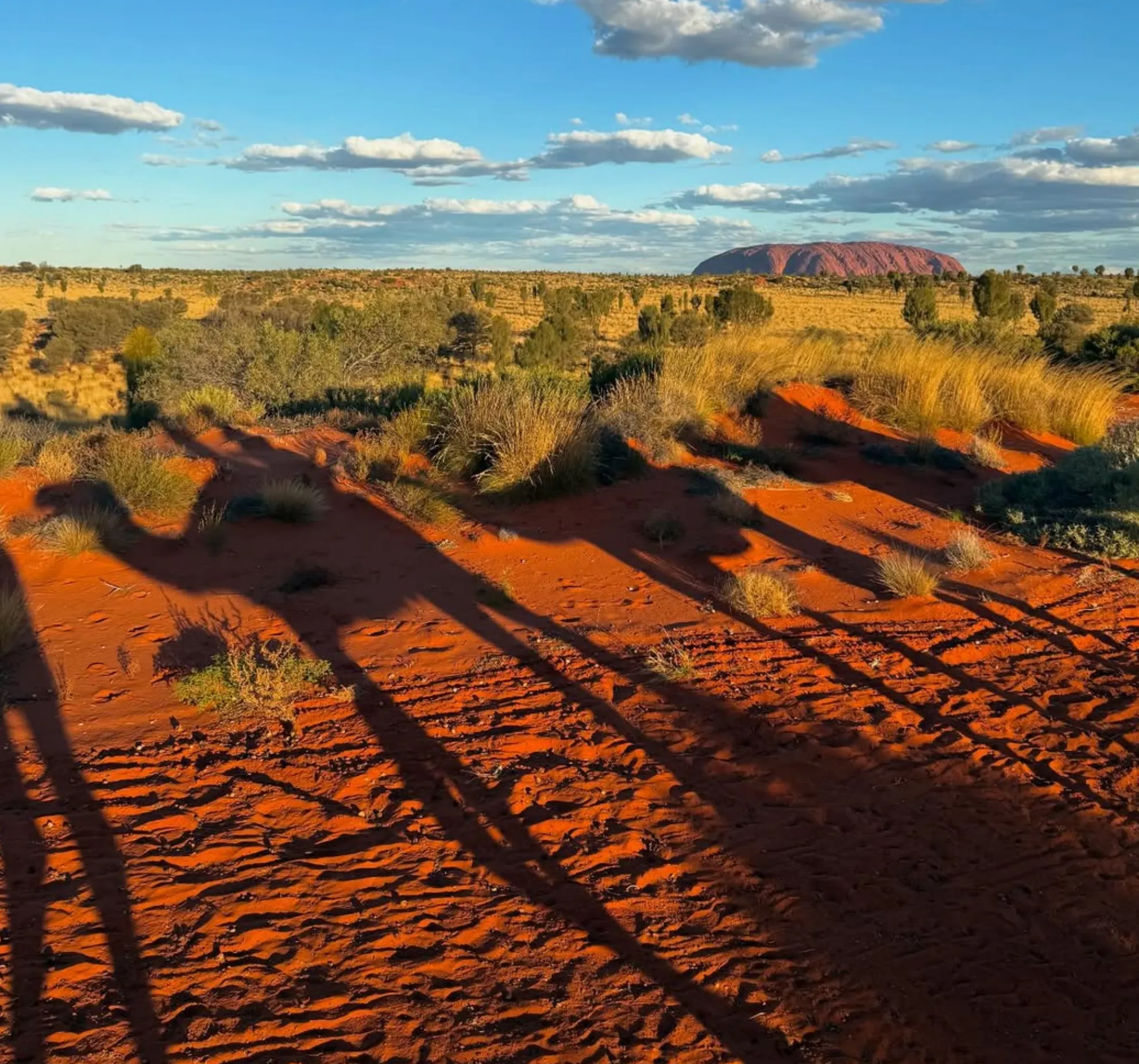 Uluru events itinerary from Alice Springs