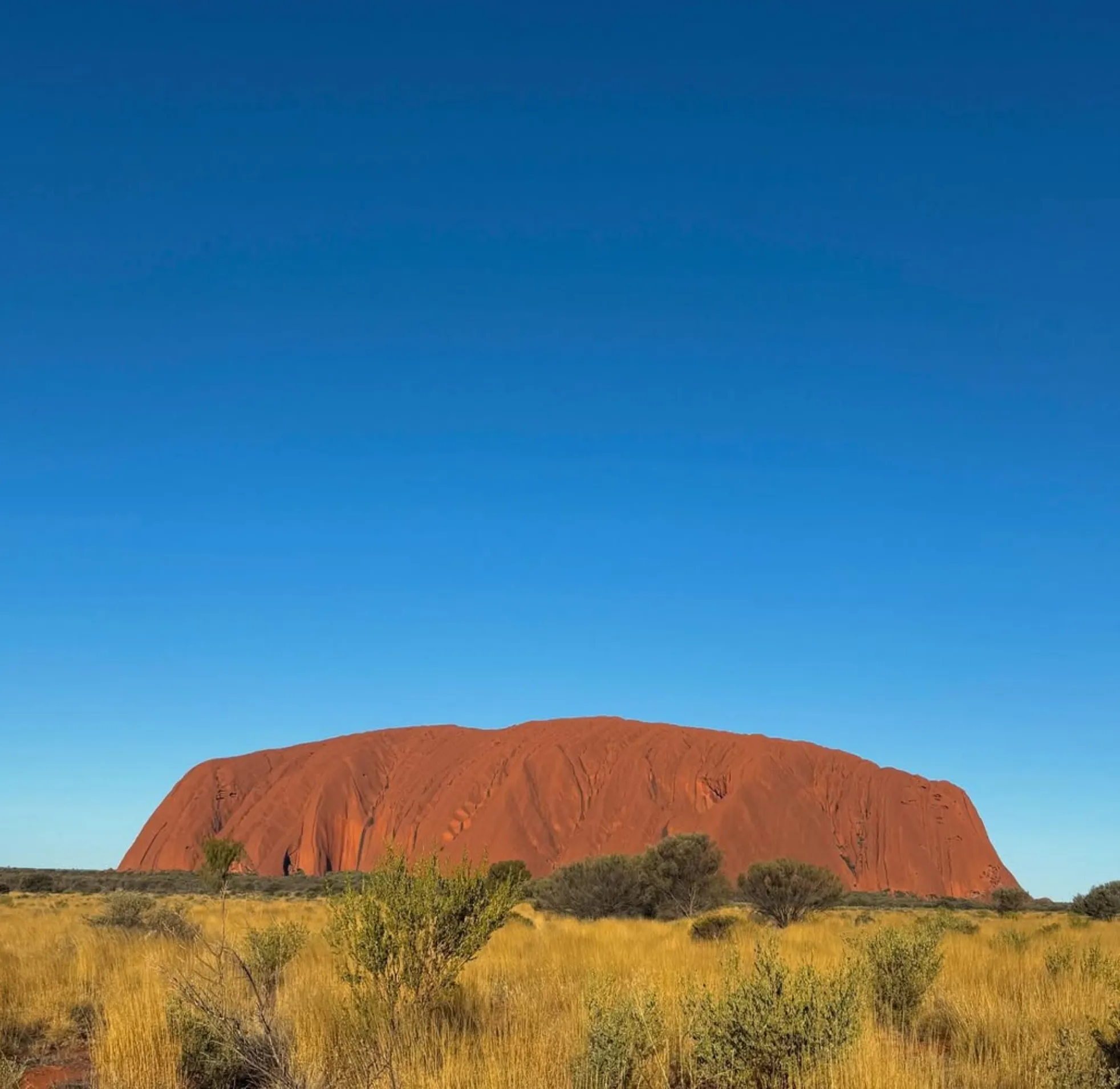 Uluru marathon and Field of Light itinerary