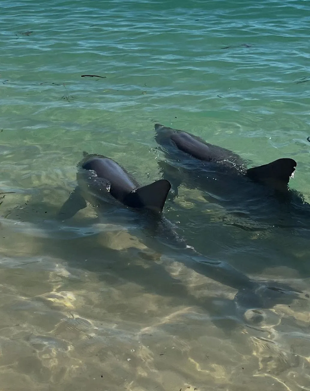 Unique Coastal Activities for Every Traveller