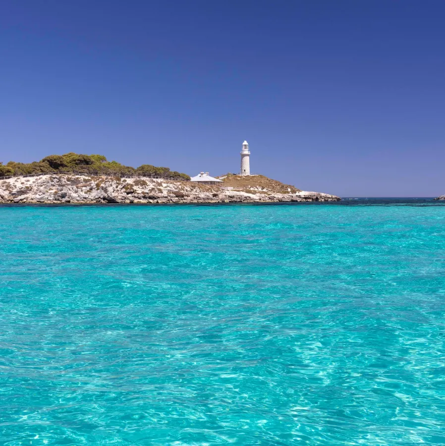 Visit Rottnest Island 