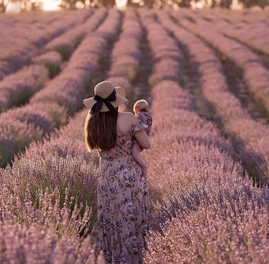 Visit the Yanchep Lavender Farm