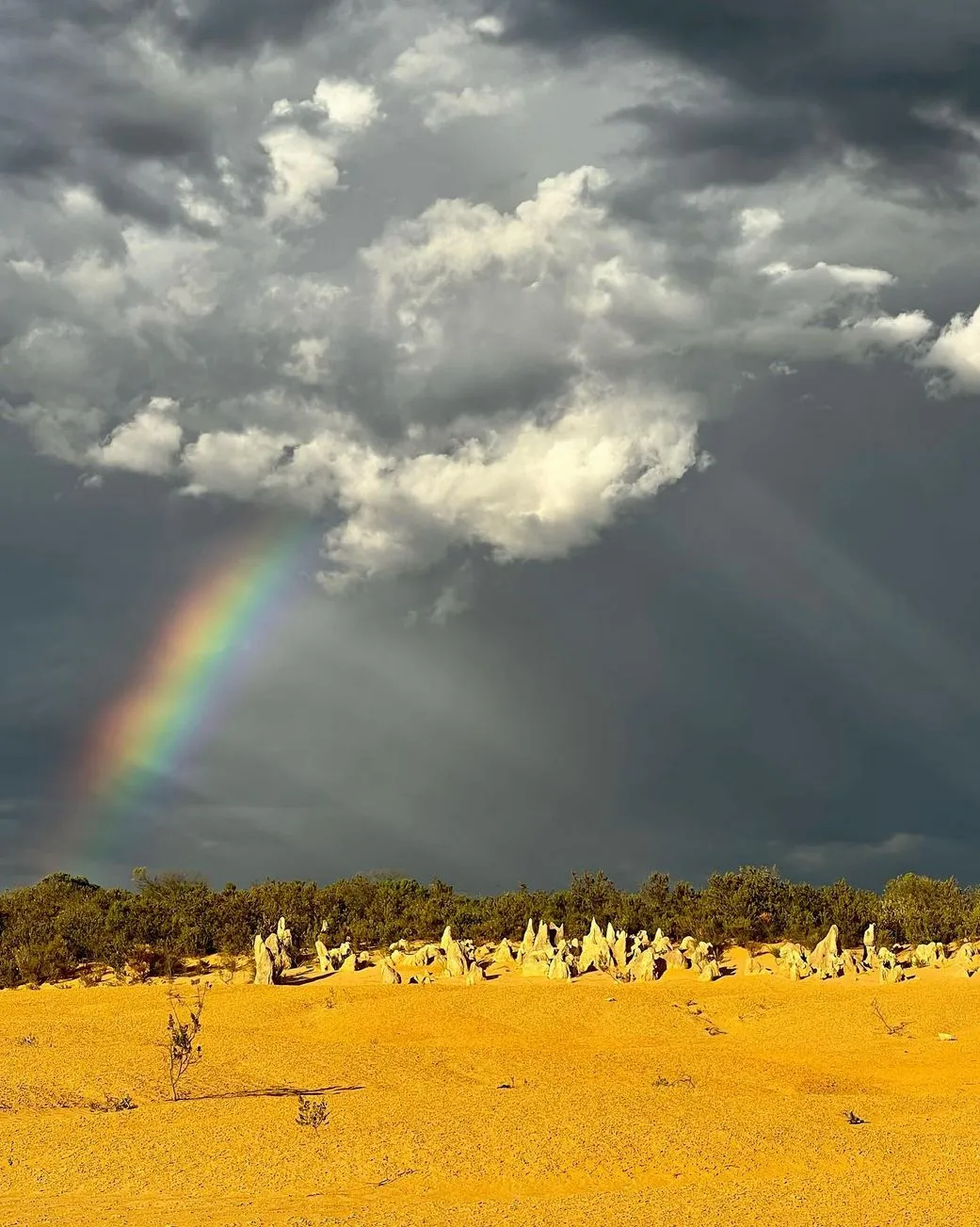 Walking and Driving Trails