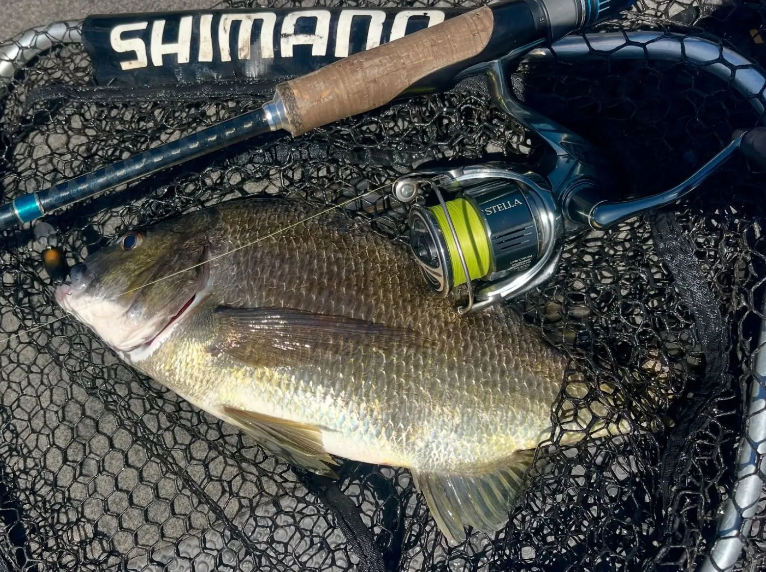 Where You Can Legitimately Cast a Line