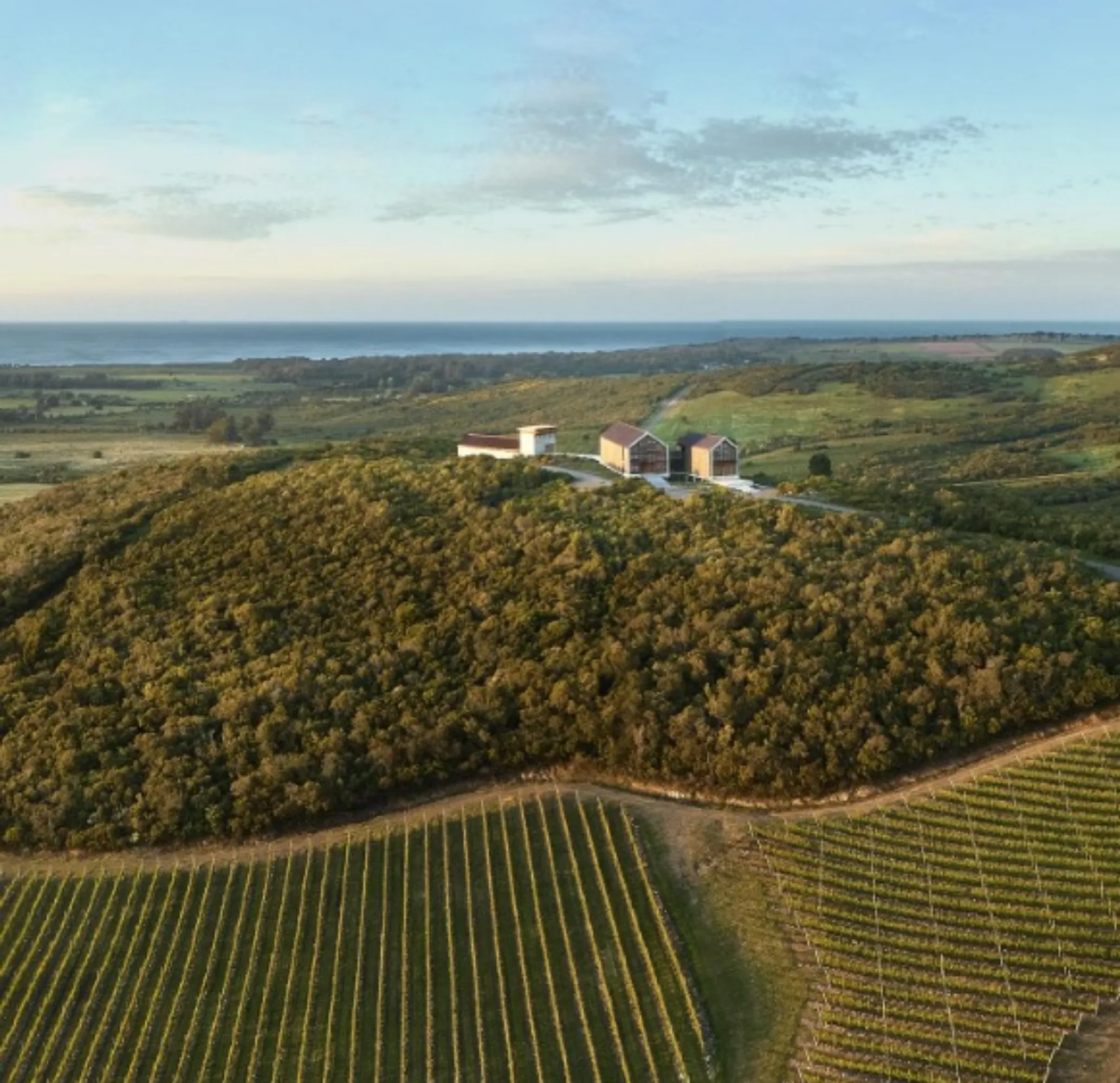 Yarra Valley Chardonnay 2026 vintage