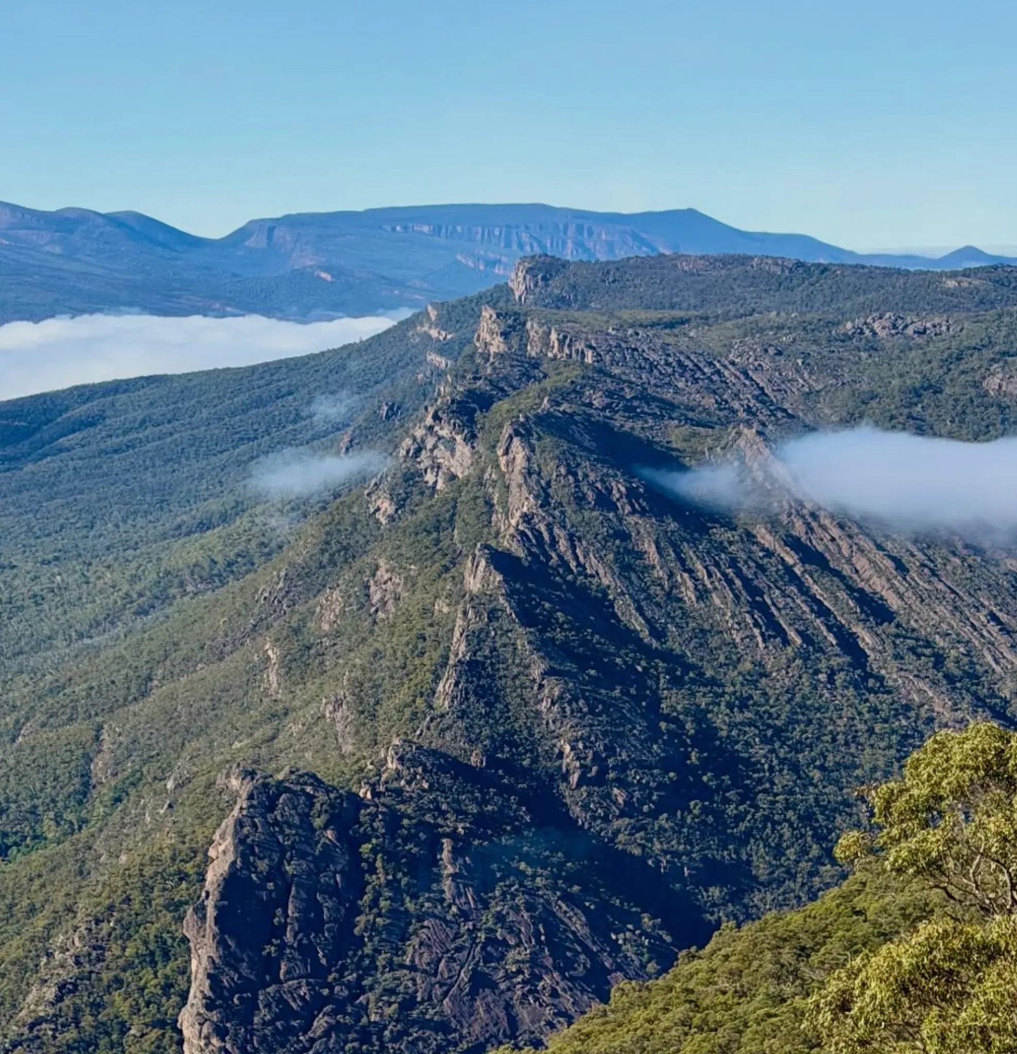 best Grampians wildlife spotting locations