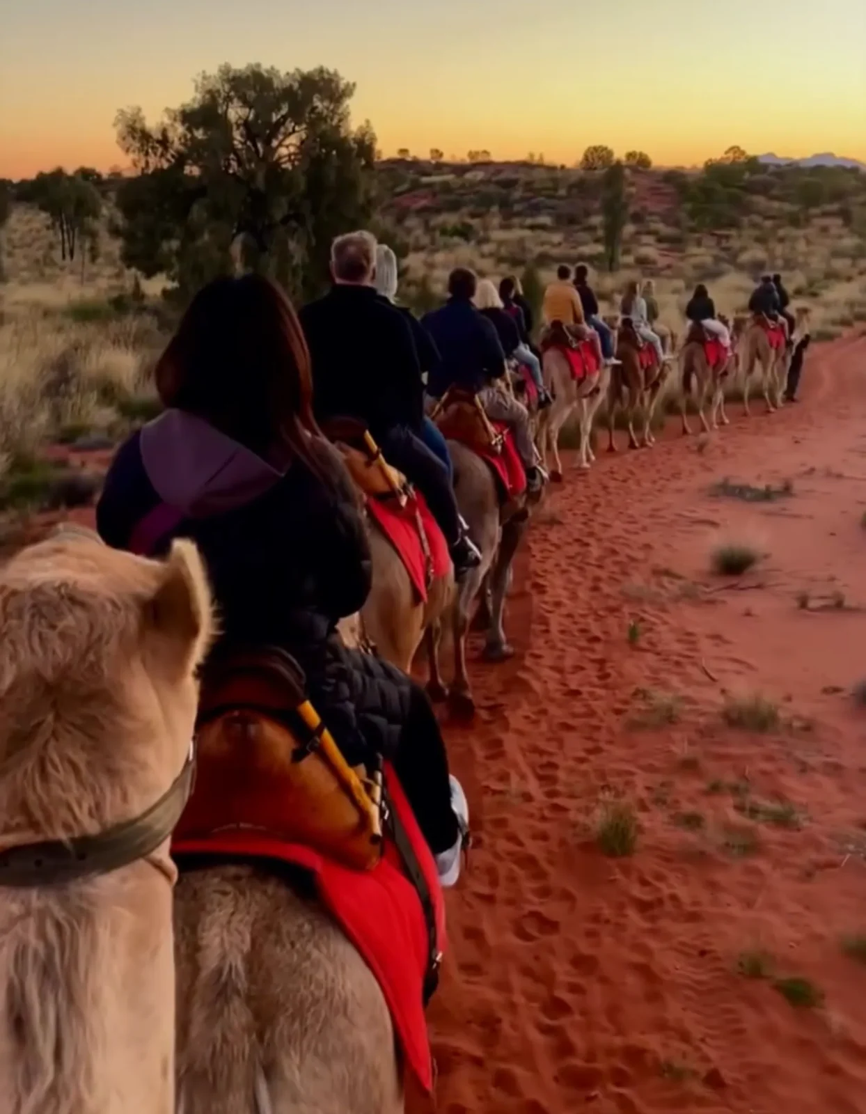best time to visit Uluru for events in 2026