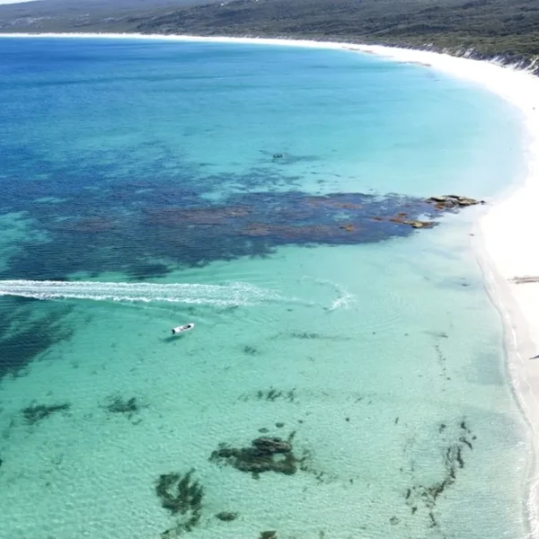 best wine tour margaret river