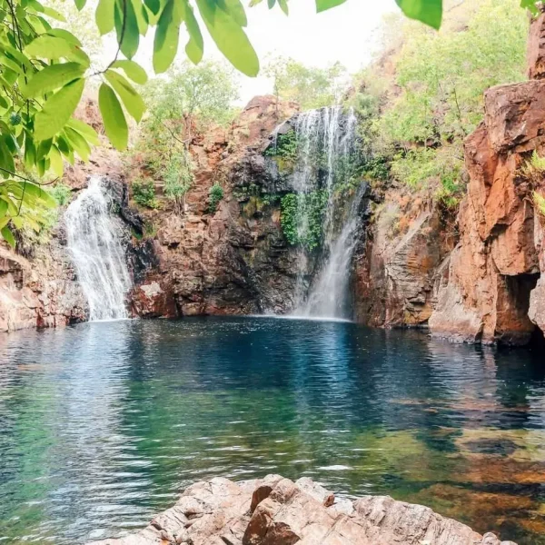 Darwin Tours