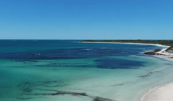 Hangover Bay