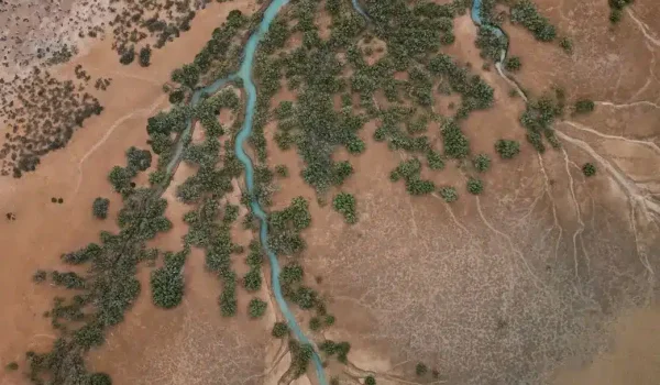Western Australia