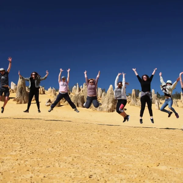 b tours perth