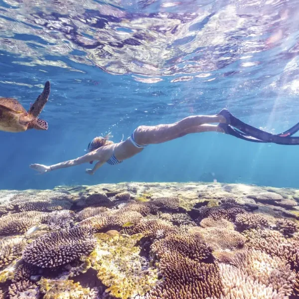 coral bay eco tours