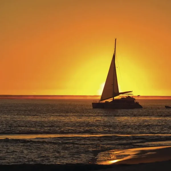 coral bay eco tours