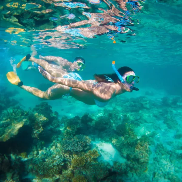 coral bay tours