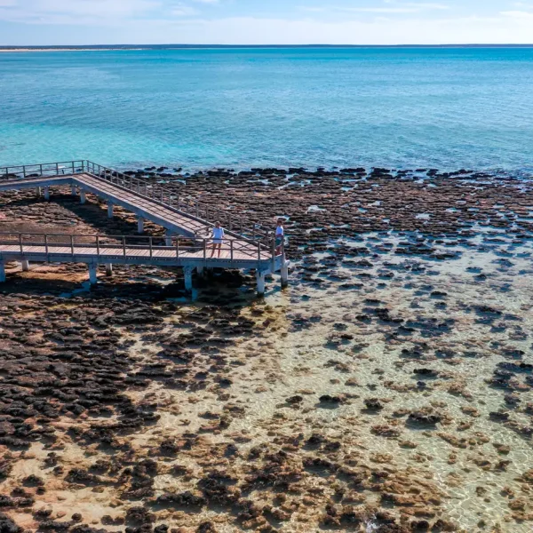 coral bay tours