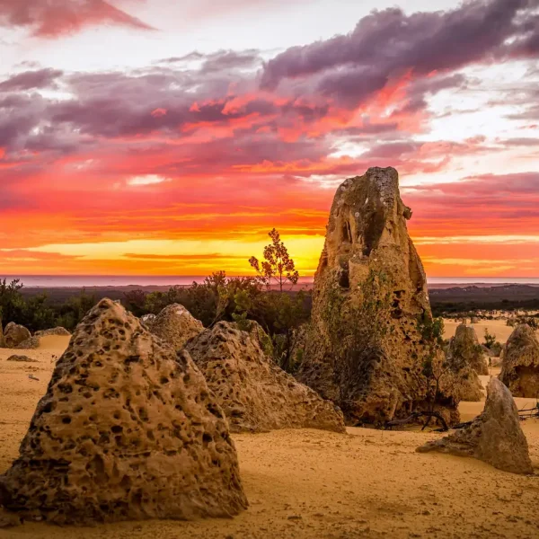 day trips from perth