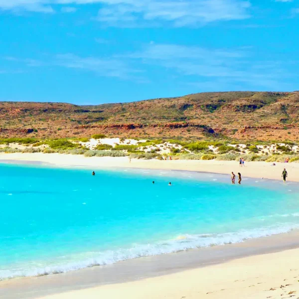 exmouth snorkelling