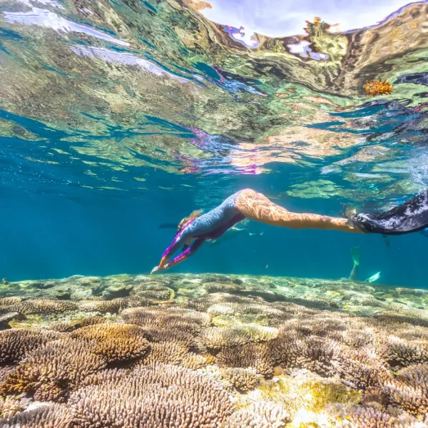exmouth snorkelling tours
