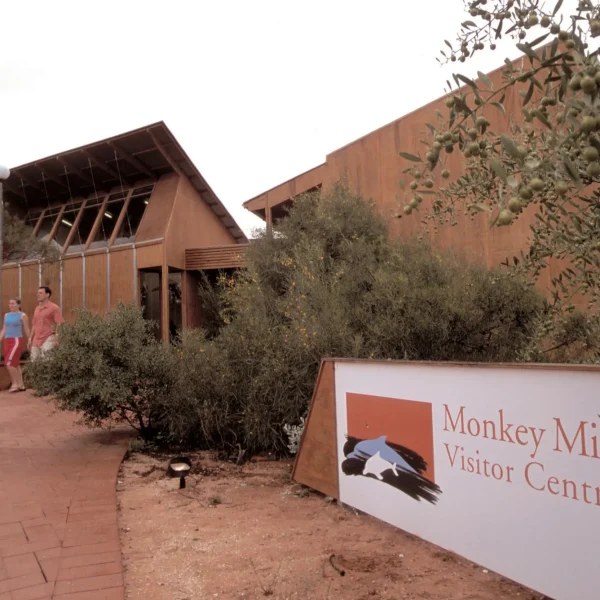 monkey mia tours